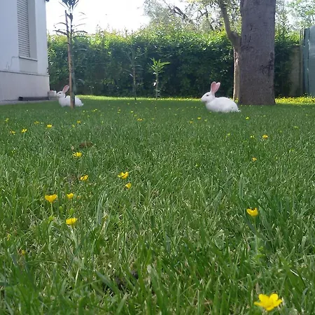 Il Ponte Di Legno 住宿加早餐酒店