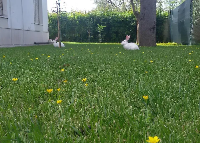 Il Ponte Di Legno Nocleg ze śniadaniem